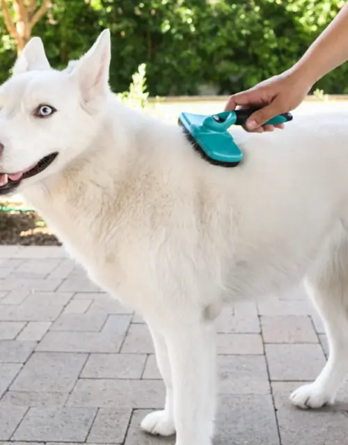 Self-Cleaning Slicker Grooming Brush for Pets, De-Shedding Brush for Dogs, for all Hair Types, Easy to Clean with Retractable Bristles
