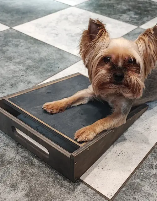 Dog scratchpad, dog scratcher, pet furniture, scratch board for dog nails, nail scratchpad, sharpen dog nails