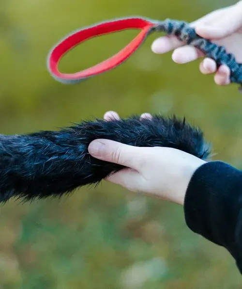 Natural Rabbit Fur Tug Toy (large)
