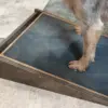 Dog scratchpad, dog scratcher, pet furniture, scratch board for dog nails, nail scratchpad, sharpen dog nails - Image 2