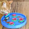 Koi pound cat treat floating puzzle