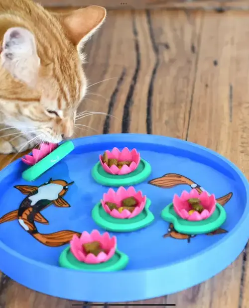 Koi pound cat treat floating puzzle