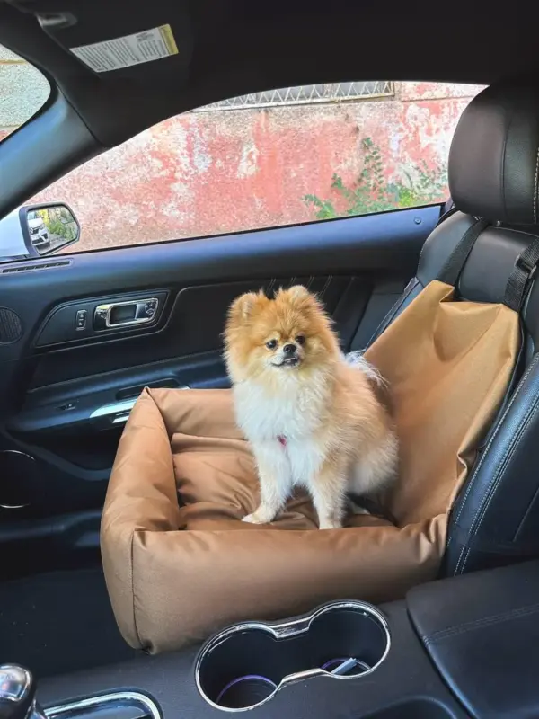 Cozy car seat for your pet, pet car seat